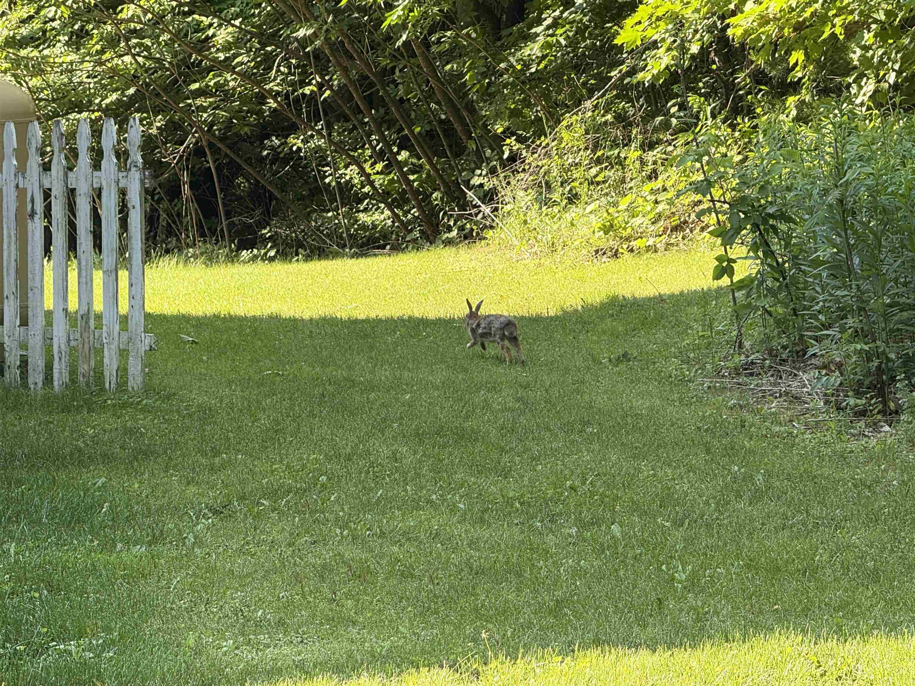 37 Cootey Lane Wallingford, VT 05773 - Photo 30 of 34