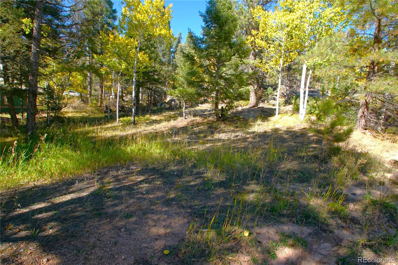 30589 Hood Road Conifer, CO 80433 - Photo 1 of 5 a view of yard with tree