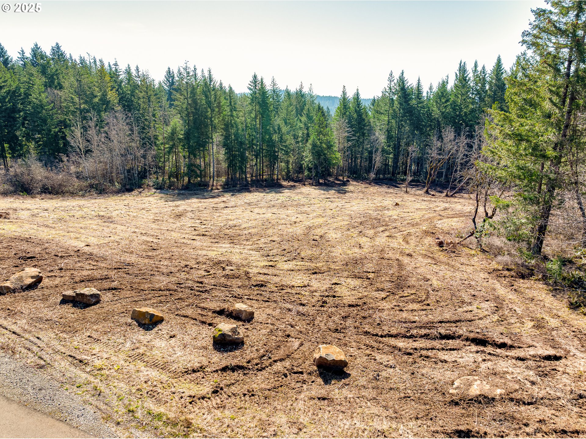 0 Northeast 44th Way Camas, WA 98607 - Photo 9 of 18 Gallery Image 9