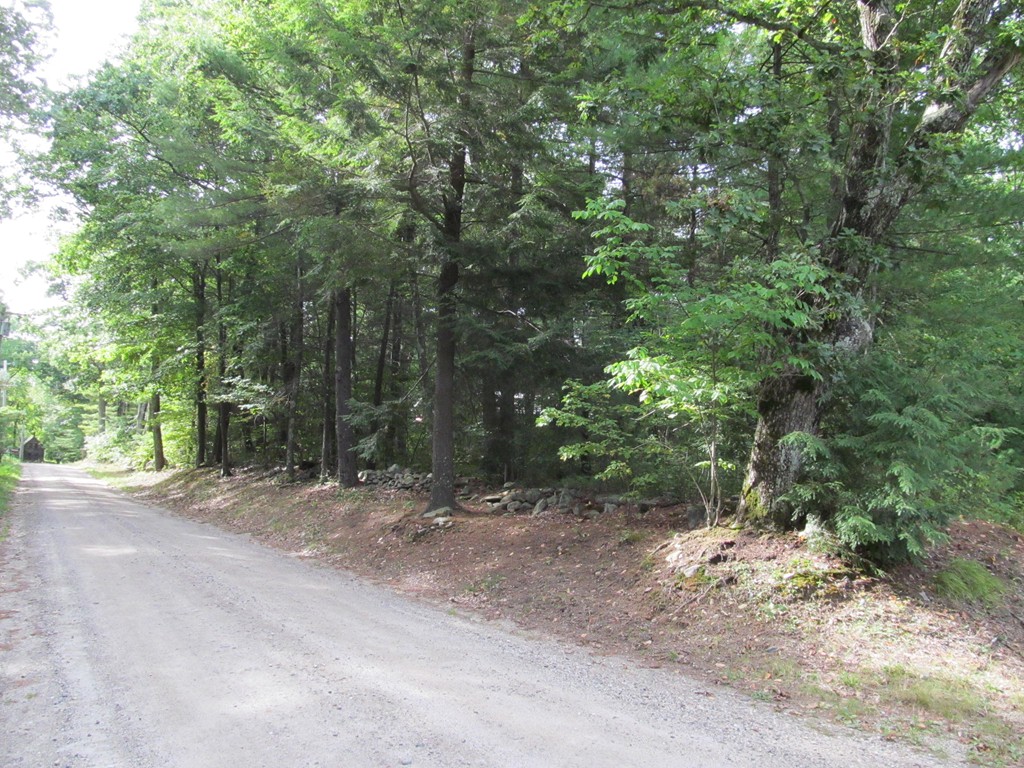 Lot 6 Leonard Road Shutesbury, MA 01072 - Photo 3 of 7 Gallery Image 3
