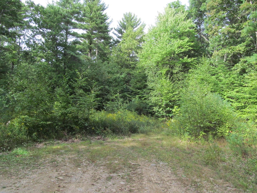 Lot 6 Leonard Road Shutesbury, MA 01072 - Photo 4 of 7 Gallery Image 4