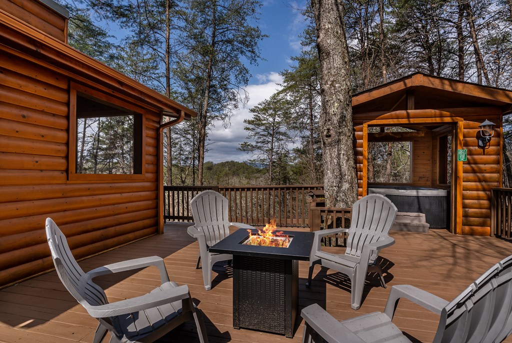 233 River Hills Road Mineral Bluff, GA 30559 - Photo 33 of 64 Very spacious outdoor area for entertaining