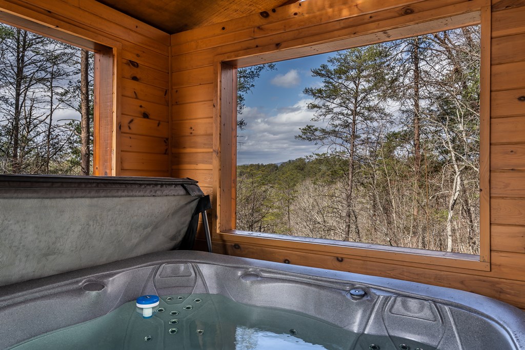 233 River Hills Road Mineral Bluff, GA 30559 - Photo 35 of 64 Awesome days & nights spent outside