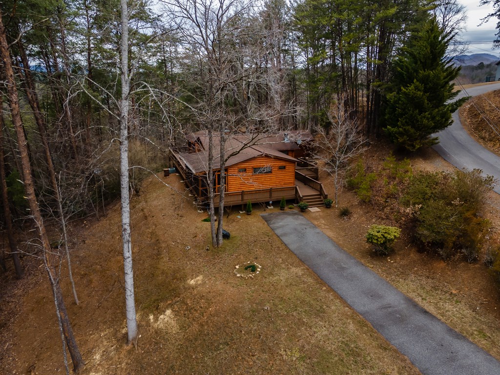 233 River Hills Road Mineral Bluff, GA 30559 - Photo 4 of 64 233 River Hills --awesome space inside & outside
