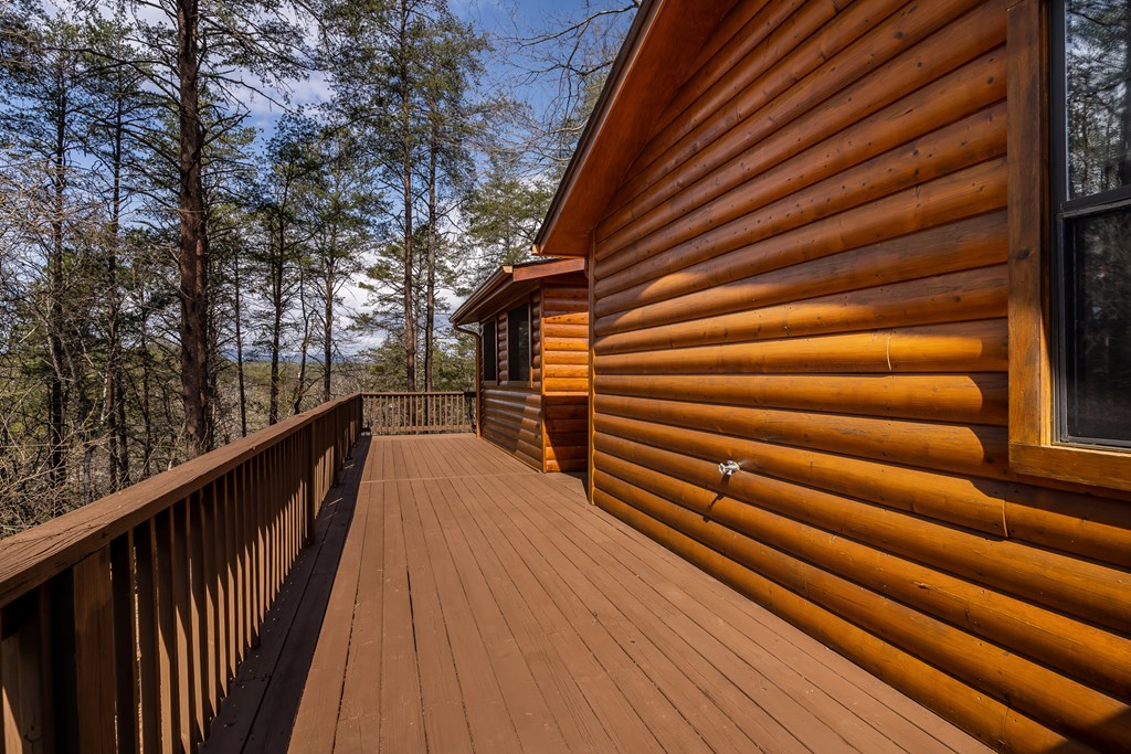 233 River Hills Road Mineral Bluff, GA 30559 - Photo 43 of 64 SUMMERHOUSE vibes!