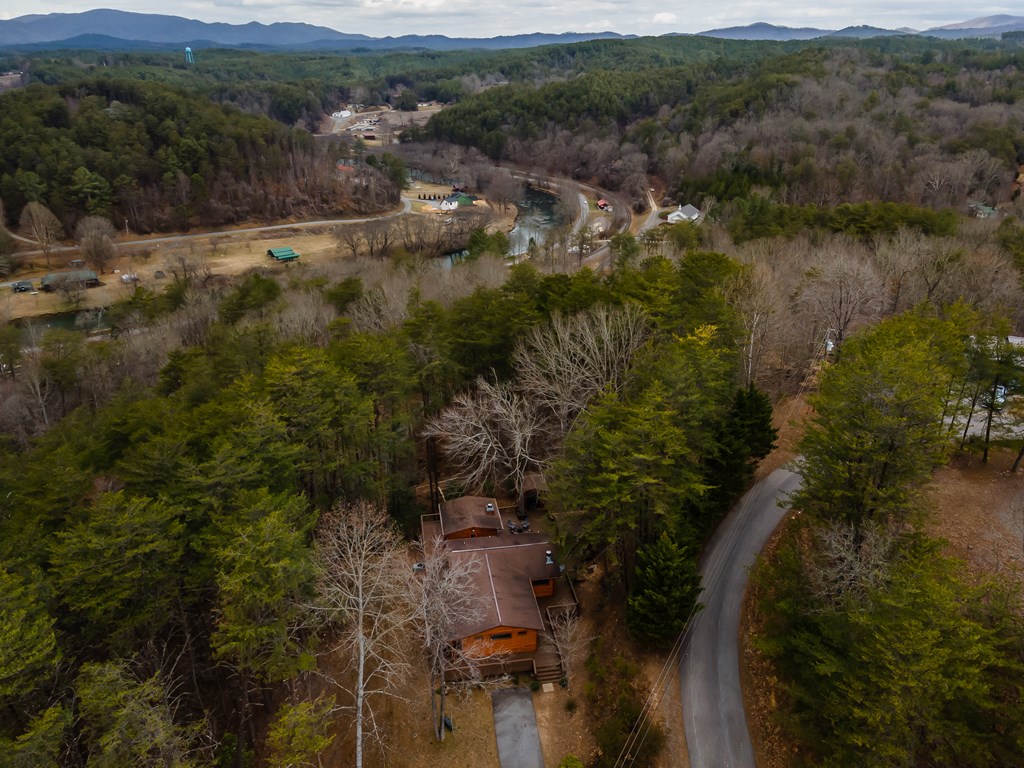 233 River Hills Road Mineral Bluff, GA 30559 - Photo 5 of 64 233 River Hills - Mineral Bluff, GA