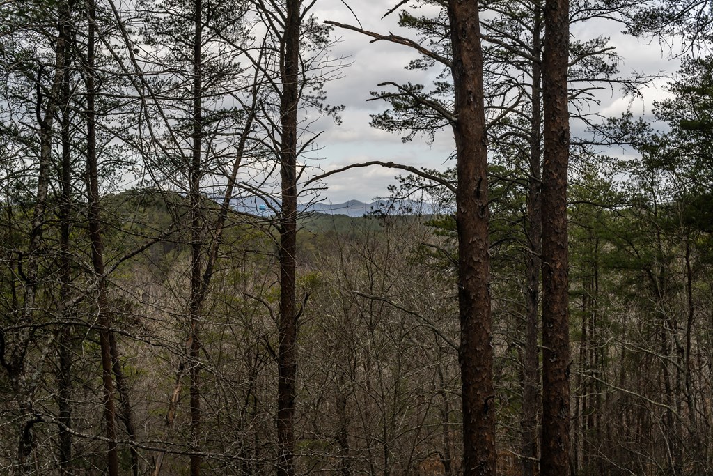 233 River Hills Road Mineral Bluff, GA 30559 - Photo 55 of 64 River Hills is much larger than it appears