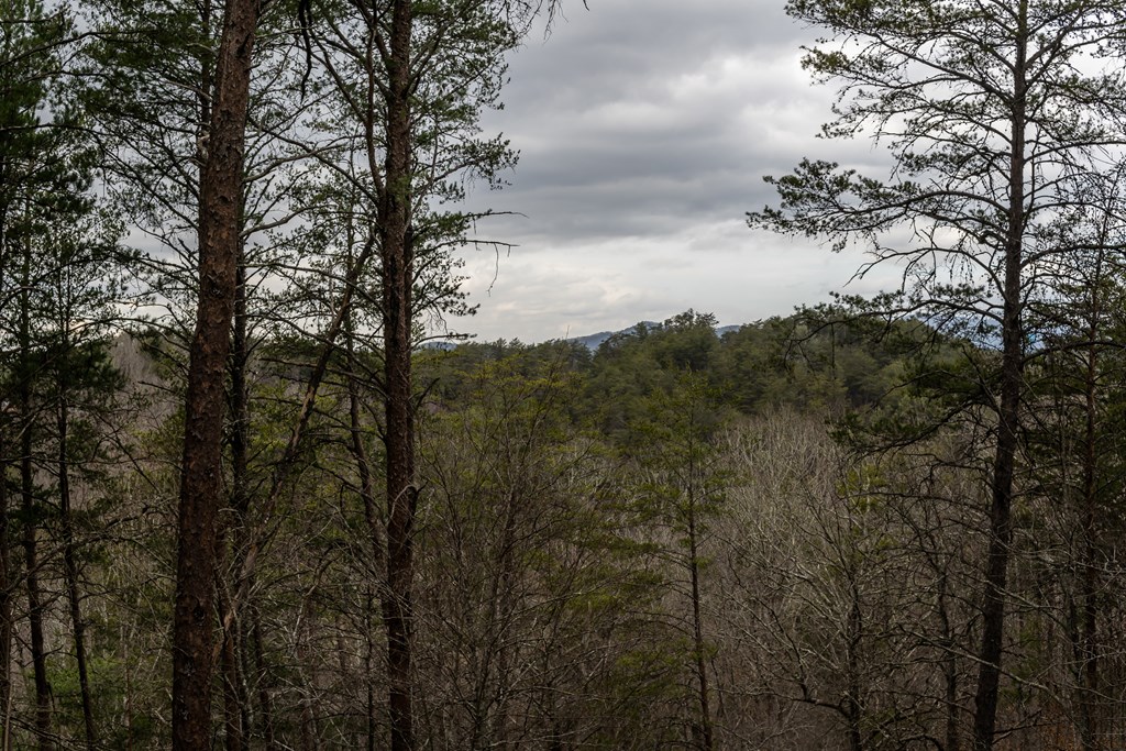 233 River Hills Road Mineral Bluff, GA 30559 - Photo 56 of 64 Mountain View