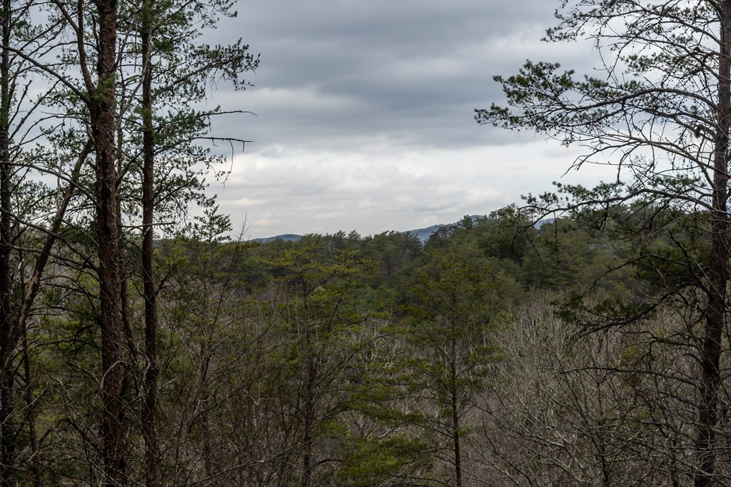 233 River Hills Road Mineral Bluff, GA 30559 - Photo 57 of 64 River Hills is a bright sunny place to relax