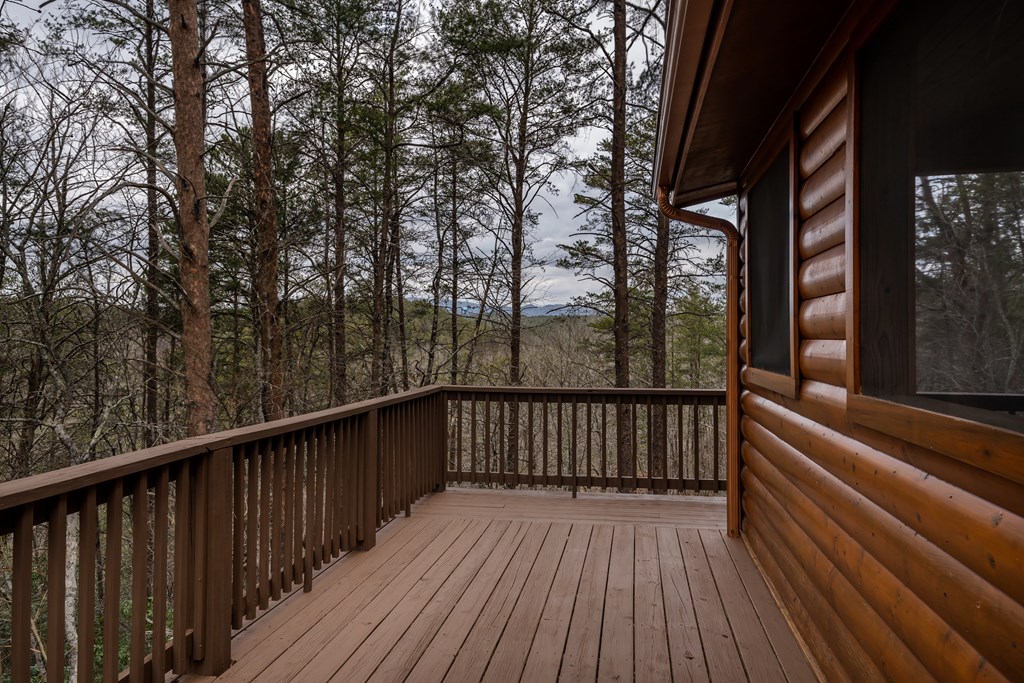233 River Hills Road Mineral Bluff, GA 30559 - Photo 58 of 64 Surrounded by privacy
