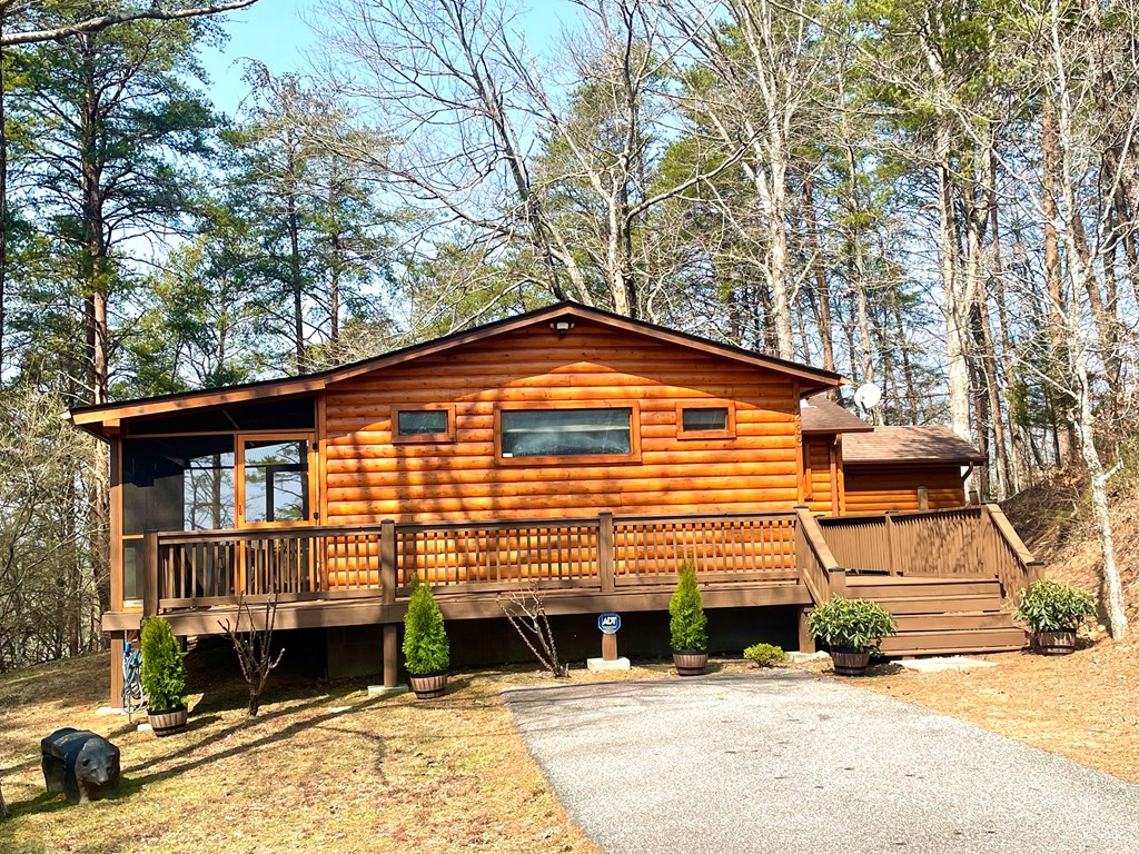 233 River Hills Road Mineral Bluff, GA 30559 - Photo 59 of 64 Toccoa River