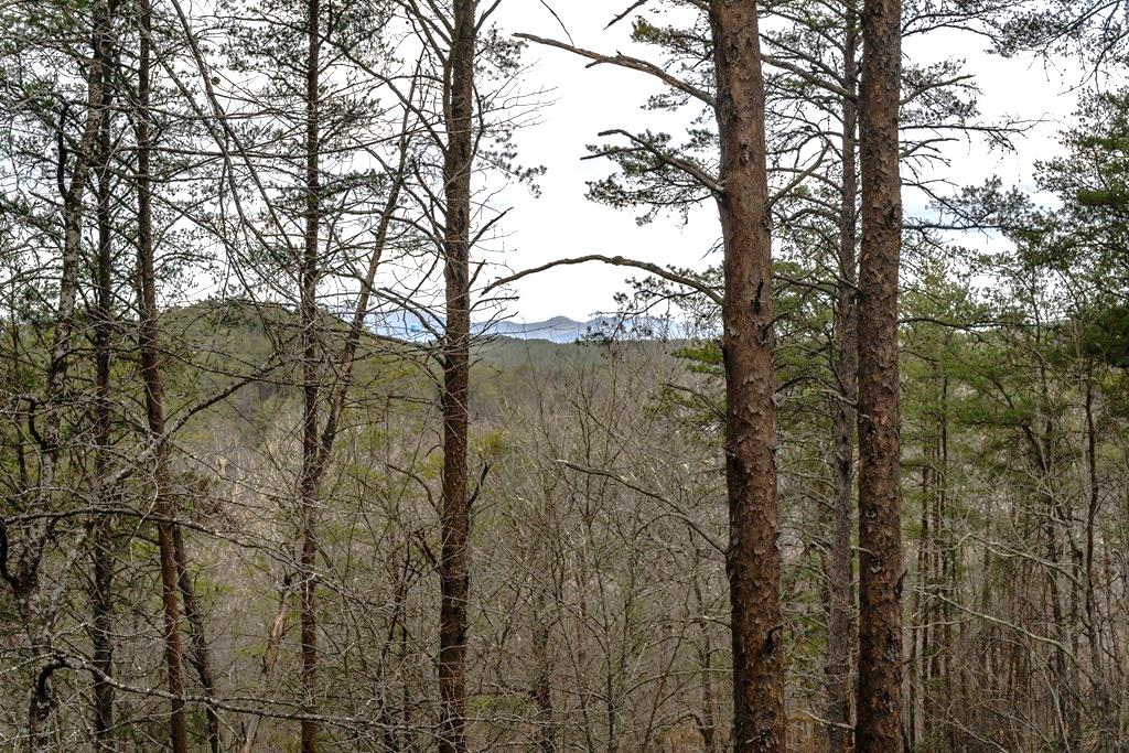 233 River Hills Road Mineral Bluff, GA 30559 - Photo 63 of 64 Mountain view from deck