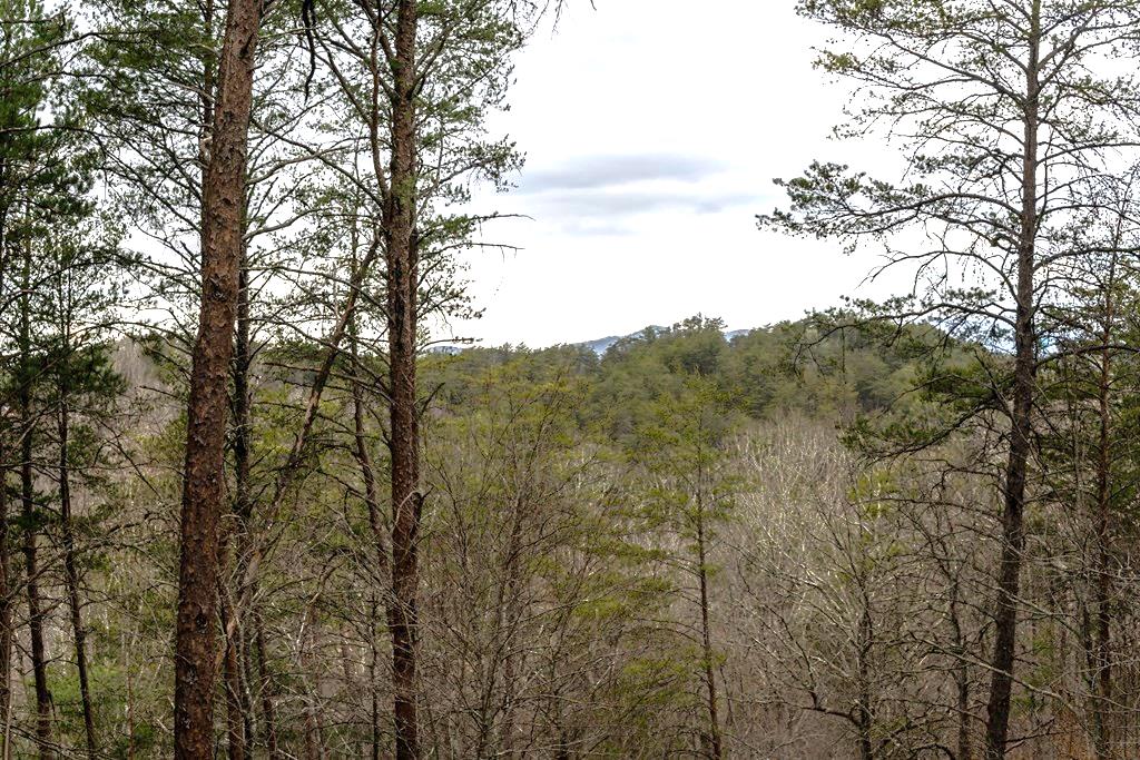 233 River Hills Road Mineral Bluff, GA 30559 - Photo 64 of 64 Mountain view from deck