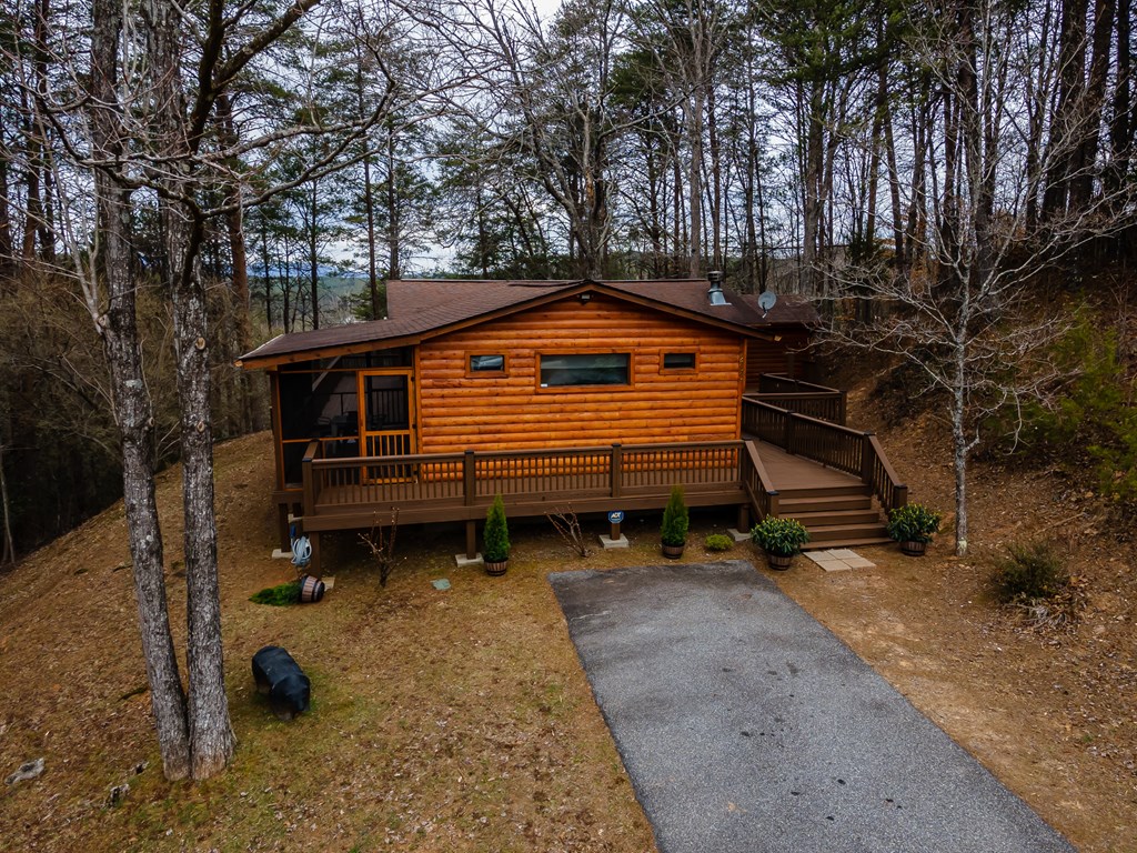 233 River Hills Road Mineral Bluff, GA 30559 - Photo 10 of 64 Loads of Decking surrounds the entire cabin