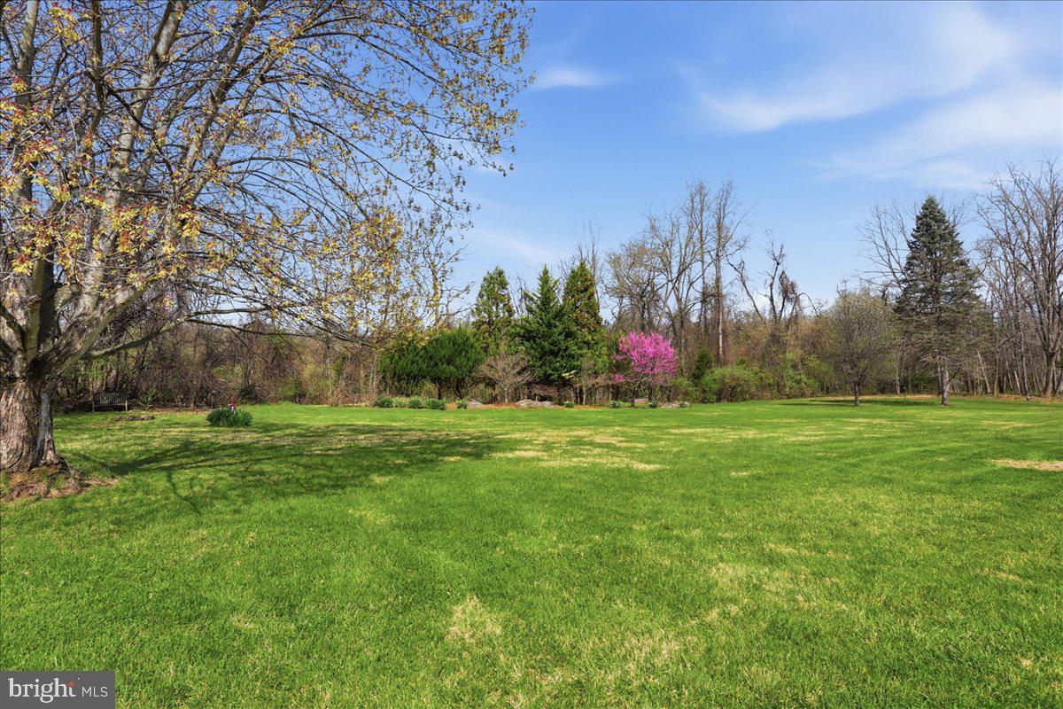 583 Morgan Grove Road Shepherdstown, WV 25443 - Photo 13 of 20 View from patio