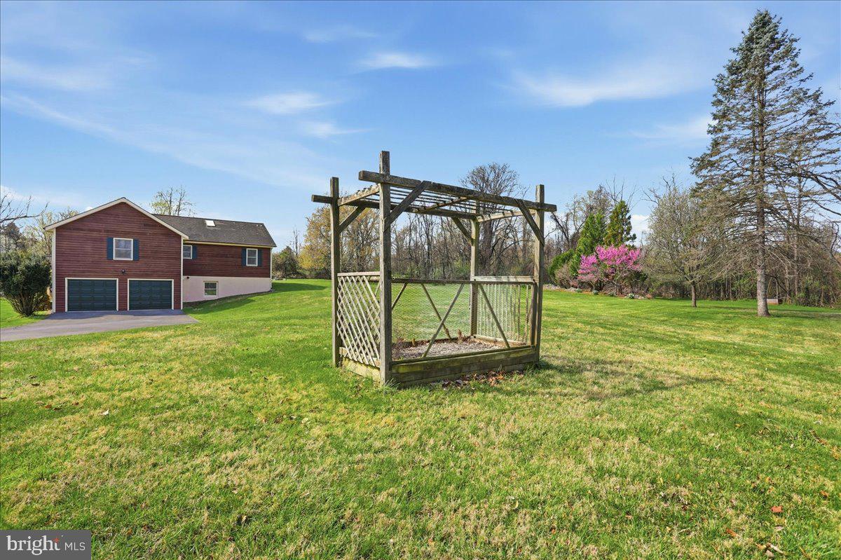 583 Morgan Grove Road Shepherdstown, WV 25443 - Photo 18 of 20 Former grape arbor