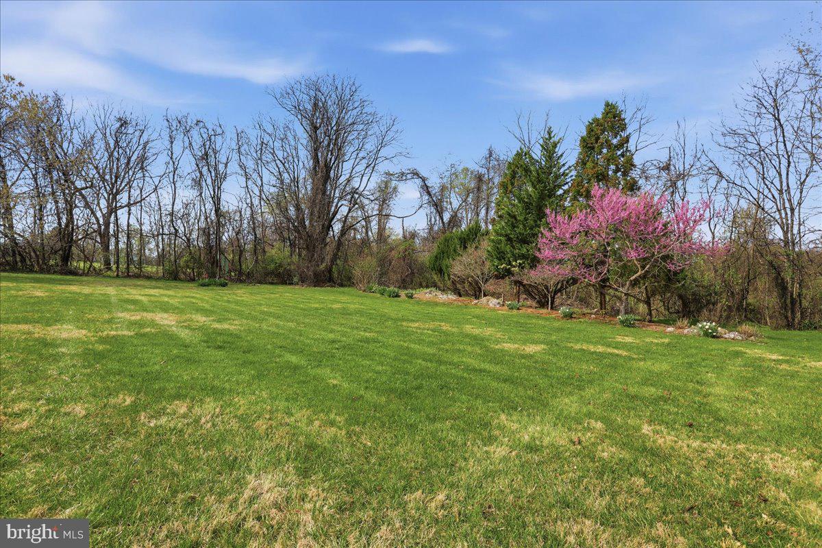 583 Morgan Grove Road Shepherdstown, WV 25443 - Photo 9 of 20 Level back yard