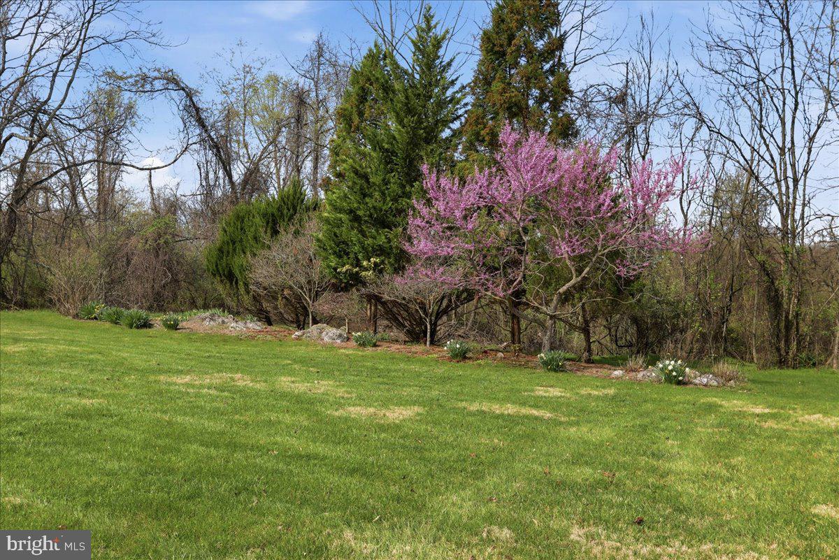 583 Morgan Grove Road Shepherdstown, WV 25443 - Photo 10 of 20 Limestone and perennials