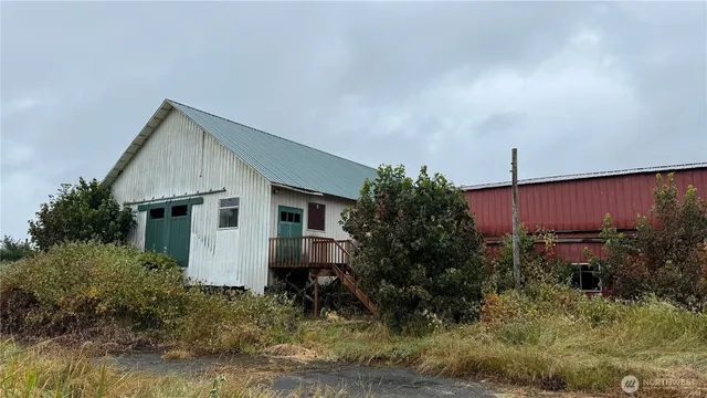 a backyard of a house with plants and large tree
