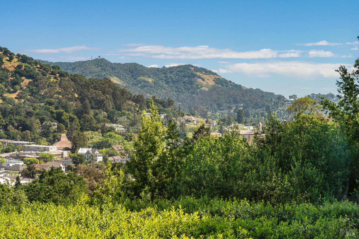 183 Reservoir Road San Rafael, CA 94901 - Photo 4 of 62 a view of a city with mountains in the background