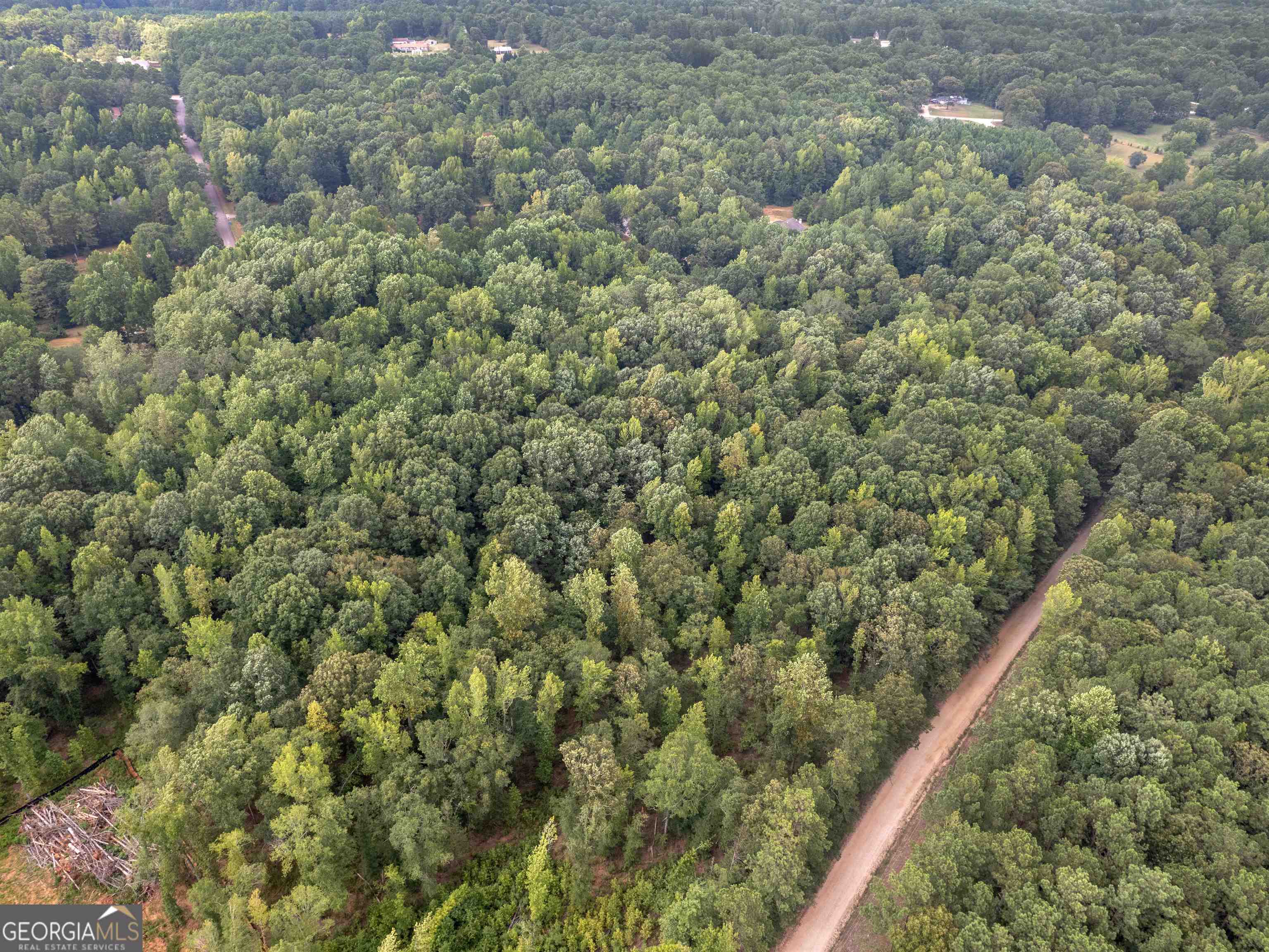 717 Seabolt Road Locust Grove, GA 30248 - Photo 1 of 1 a view of a forest from a window