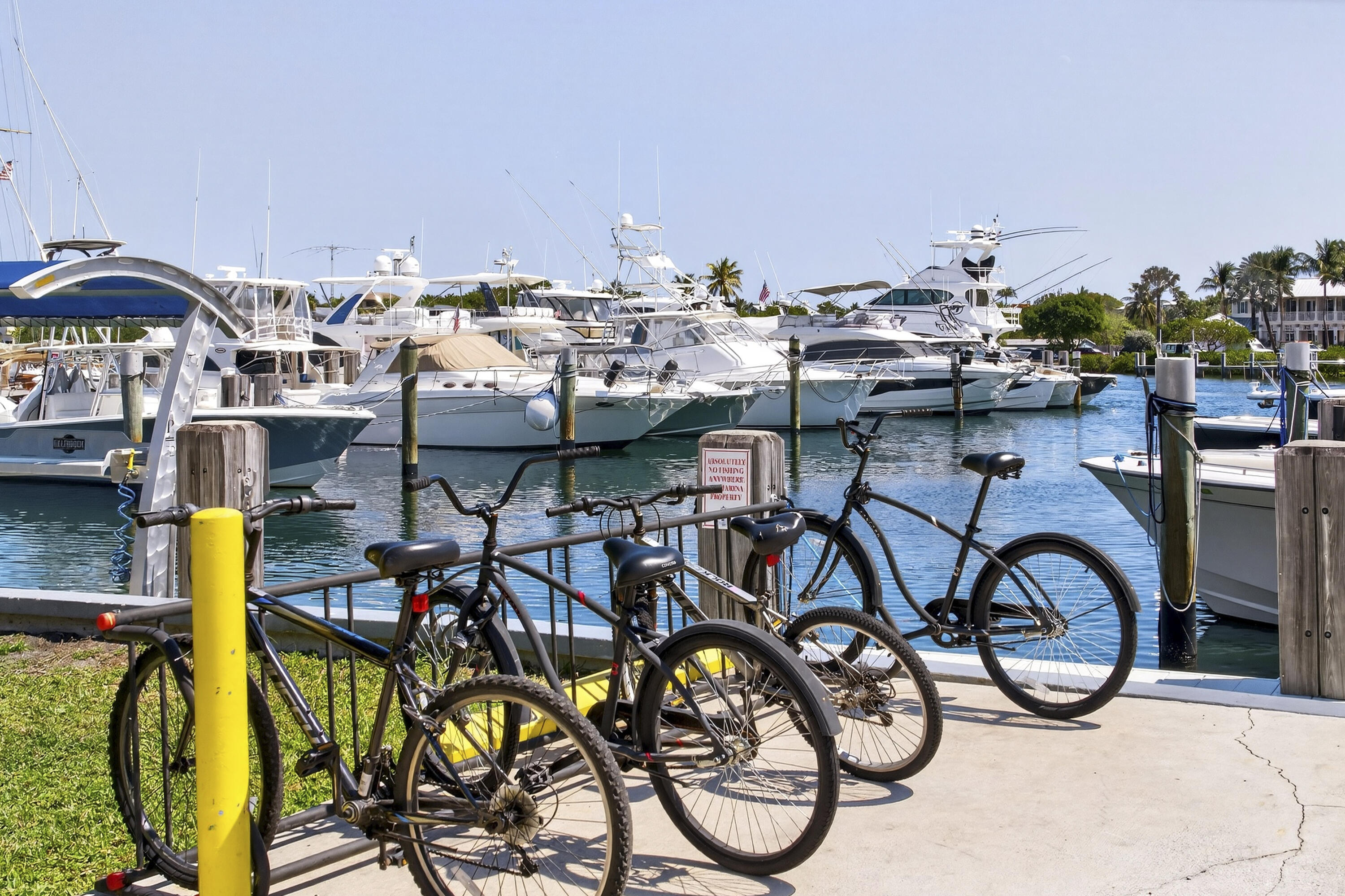 2630 Northeast 25th Street Lighthouse Point, FL 33064 - Photo 35 of 37 a view of a patio with table and chairs