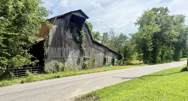 a view of street along with trees