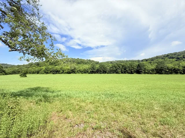 a view of a field with an trees