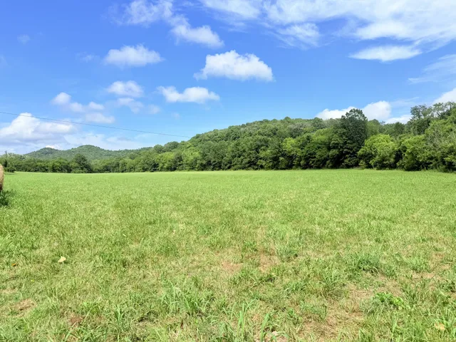 a view of field with trees in the background