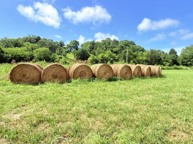 a view of house with lush green forest