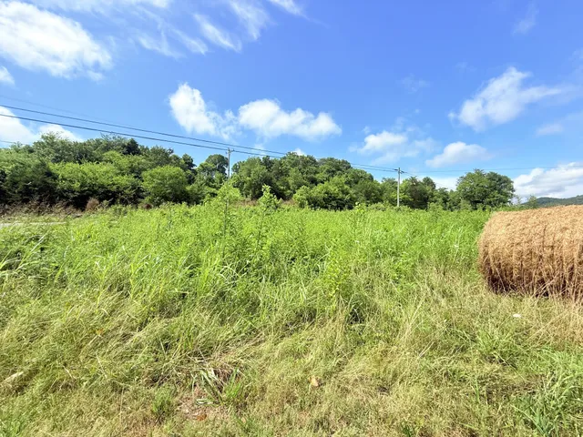 a view of a lake with a yard