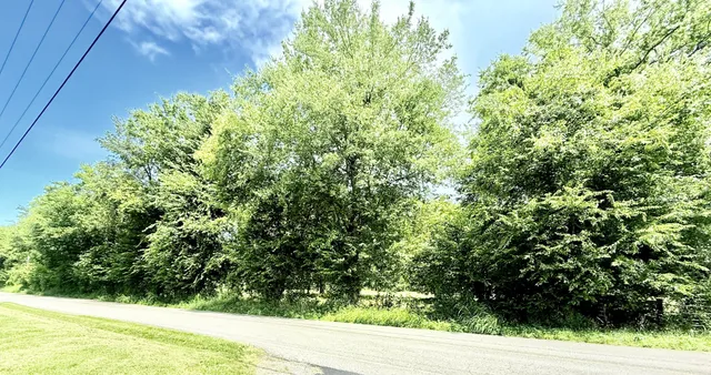a view of a yard with plants and wooden fence