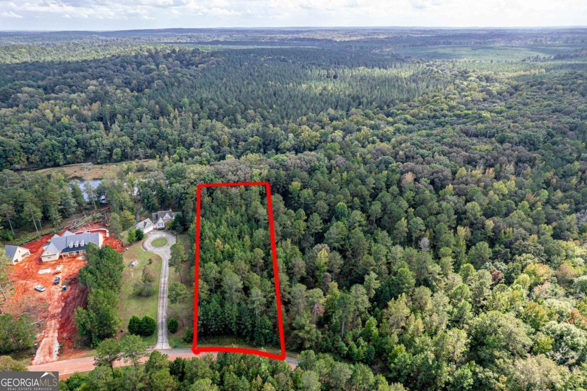 673 Parham Road Northwest Milledgeville, GA 31061 - Photo 3 of 11 a view of a city with lush green forest