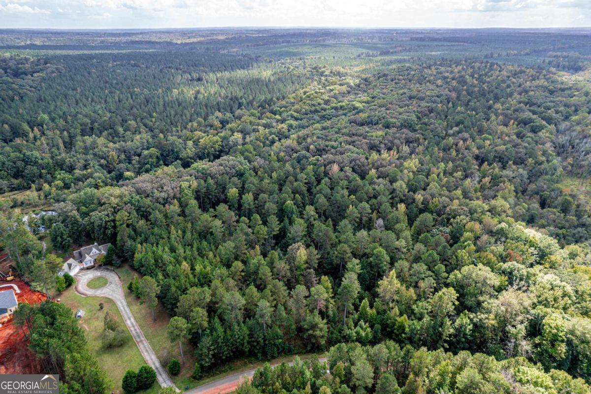 673 Parham Road Northwest Milledgeville, GA 31061 - Photo 5 of 11 a view of a lush green forest with trees and some houses