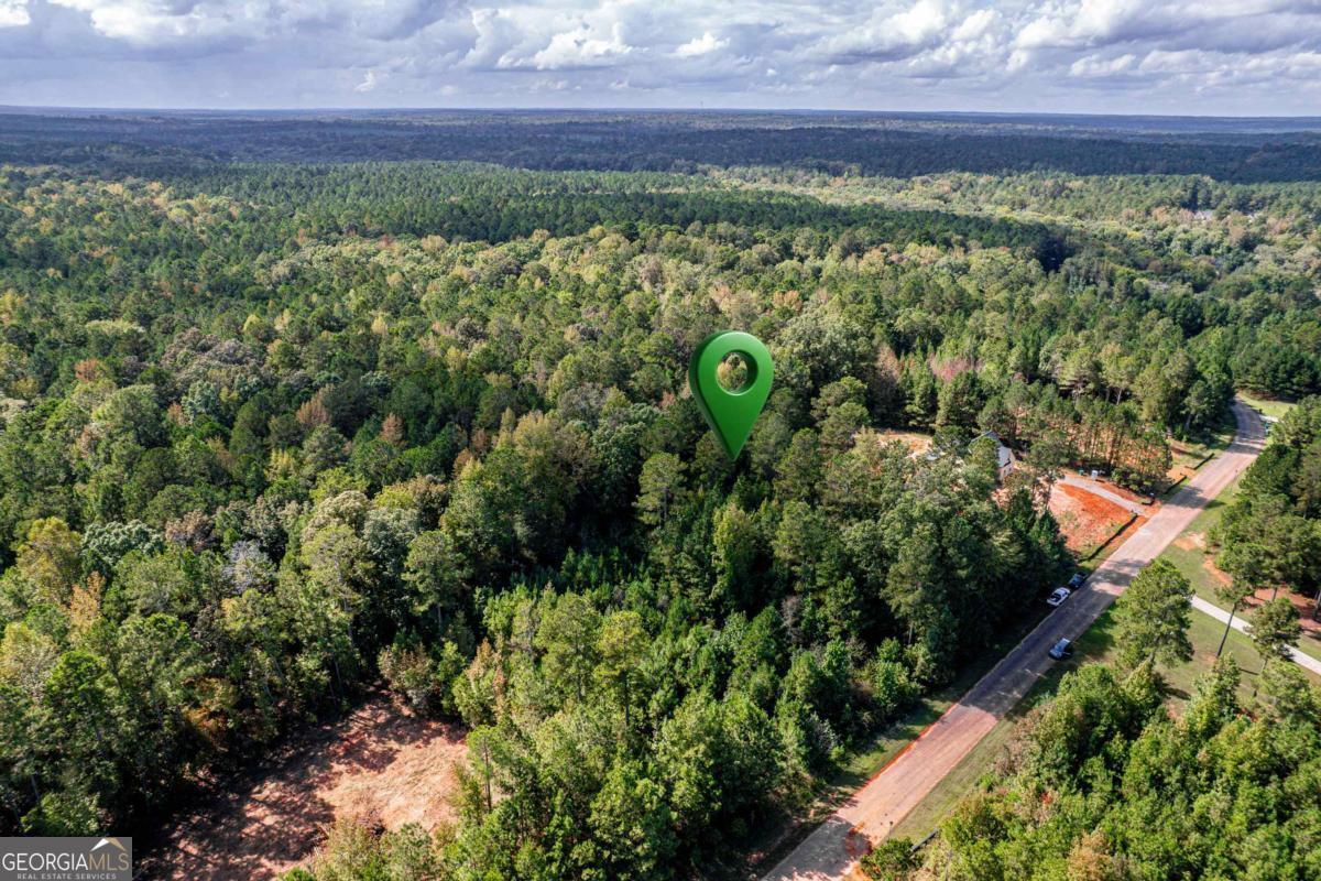 673 Parham Road Northwest Milledgeville, GA 31061 - Photo 6 of 11 a view of a yard with plants