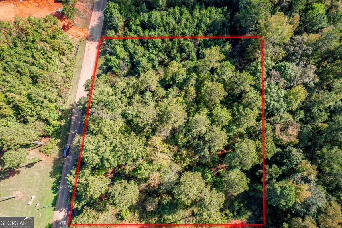 673 Parham Road Northwest Milledgeville, GA 31061 - Photo 9 of 11 a view of a garden with plants