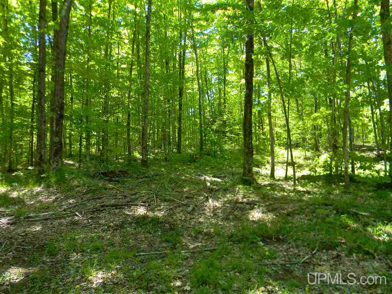 Tbd Rauhala Road, Unit LOT 4 COLES CREEK SUBDIV Atlantic Mine, MI 49931 - Photo 8 of 13