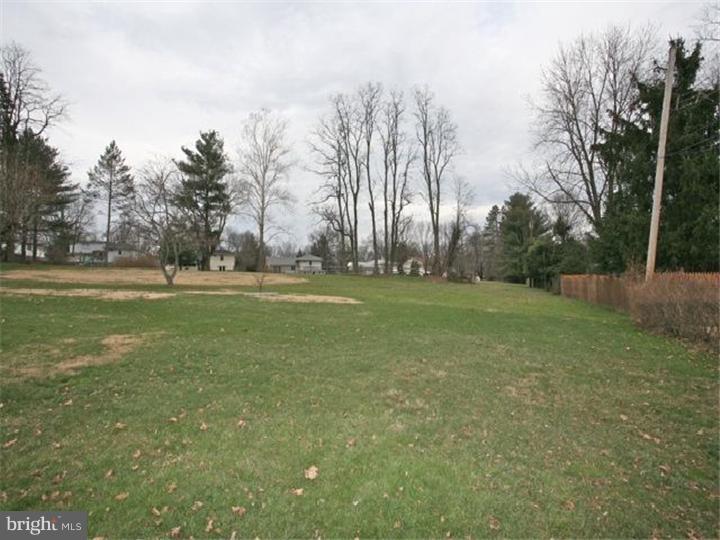 123 Morris Road Ambler, PA 19002 - Photo 14 of 14 Back Yard