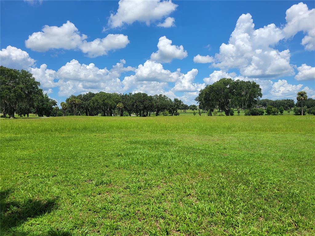 0 Southeast 61st Terrace Road, Unit 16 Summerfield, FL 34491 - Photo 1 of 15 a view of a big yard with plants and large trees