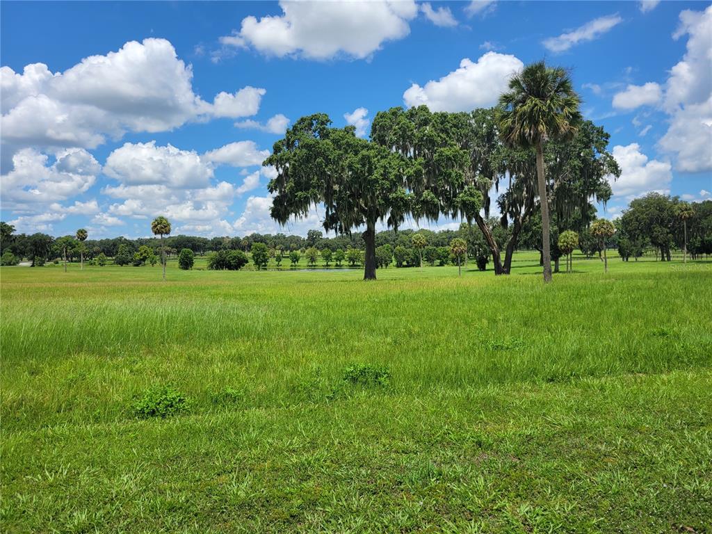 0 Southeast 61st Terrace Road, Unit 16 Summerfield, FL 34491 - Photo 11 of 15 a view of a grassy field with trees around