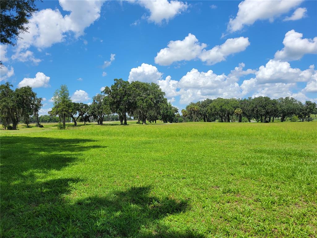 0 Southeast 61st Terrace Road, Unit 16 Summerfield, FL 34491 - Photo 2 of 15 a view of a golf course with big trees