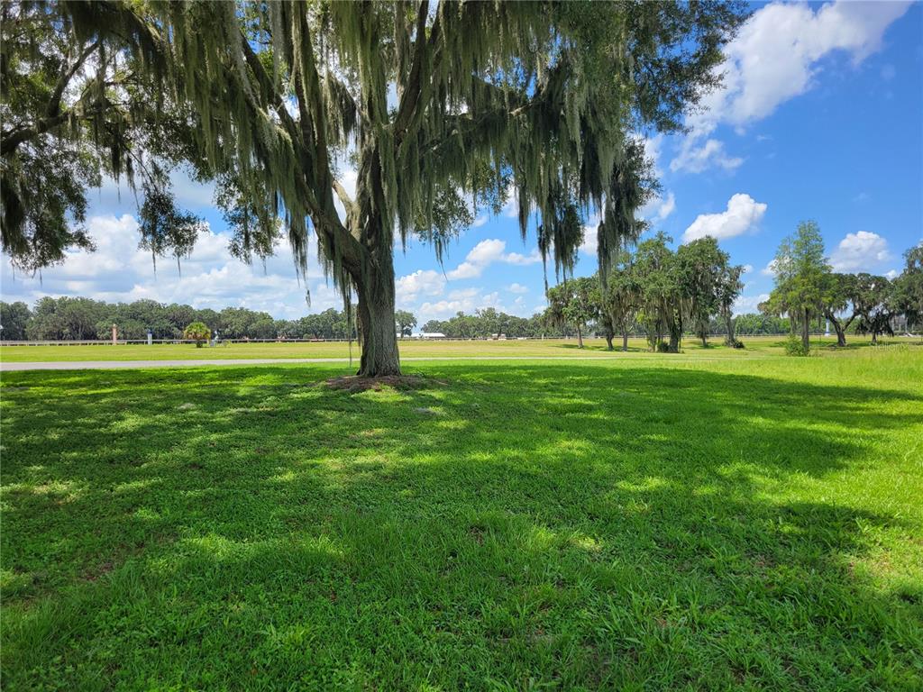 0 Southeast 61st Terrace Road, Unit 16 Summerfield, FL 34491 - Photo 3 of 15 a view of a trees with a big yard