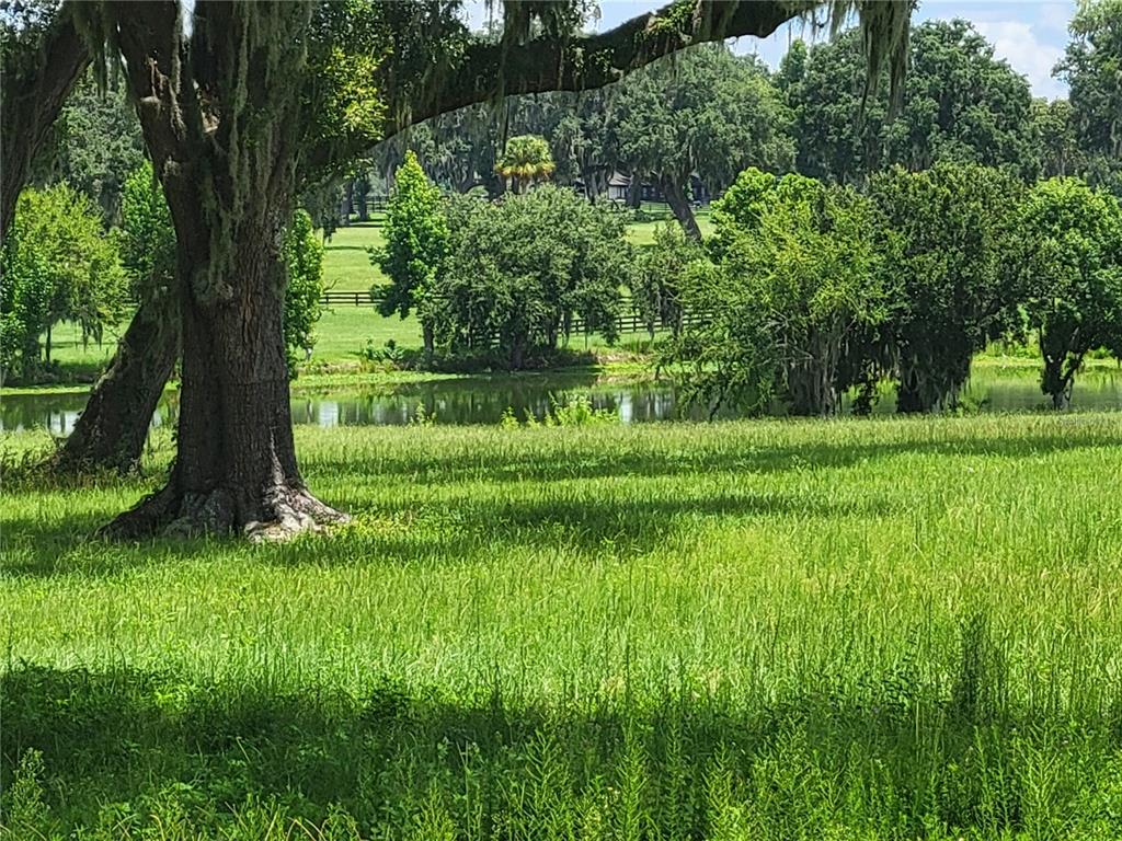 0 Southeast 61st Terrace Road, Unit 16 Summerfield, FL 34491 - Photo 9 of 15 a backyard of a house with lots of green space