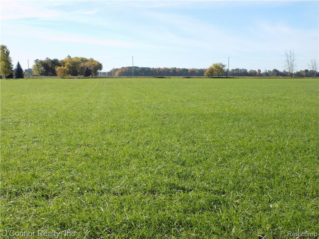 0 Burtch Road Jeddo, MI 48032 - Photo 1 of 5