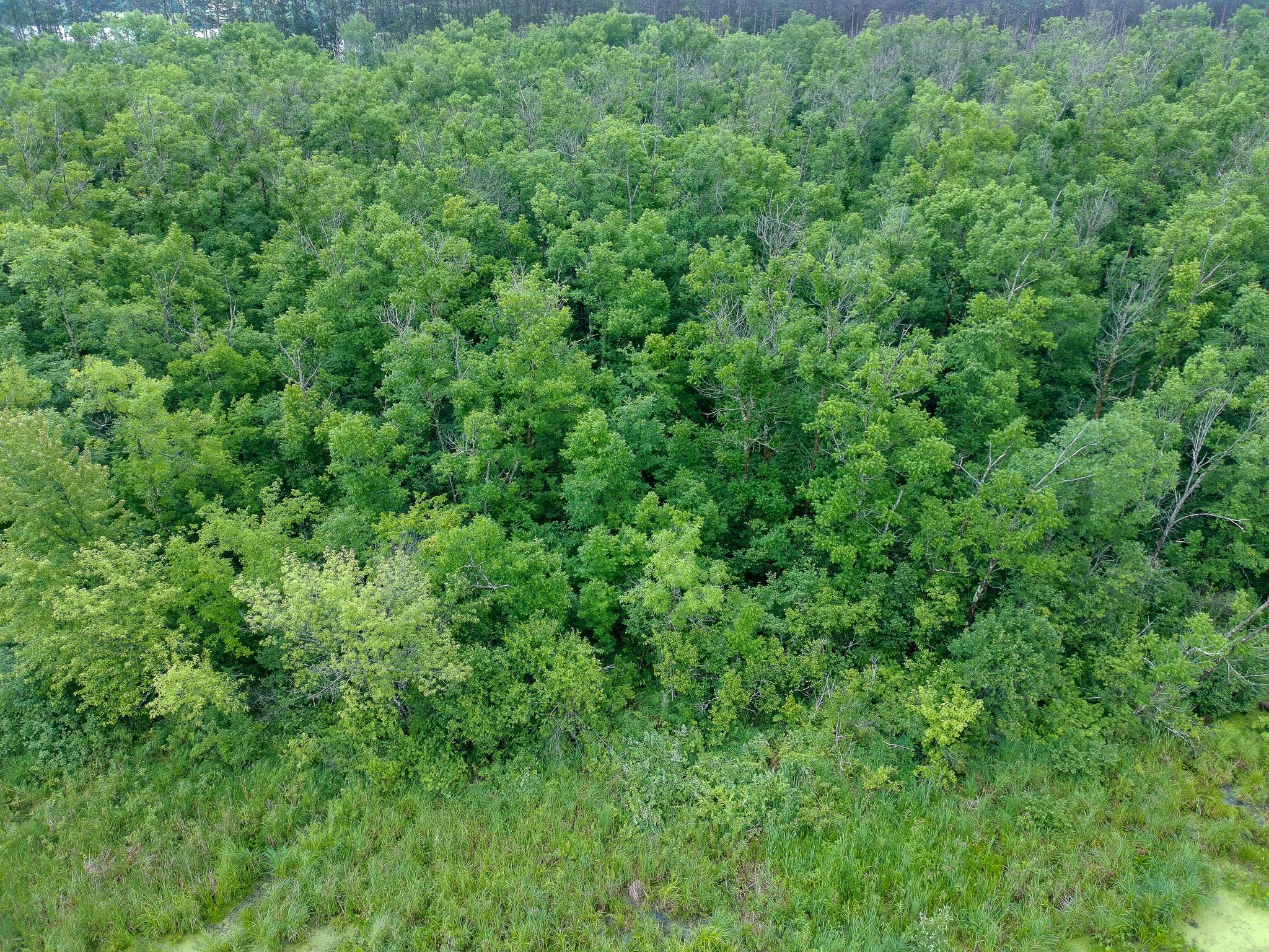 Tbd-2 North Riverside Road Moose Lake, MN 55767 - Photo 8 of 12