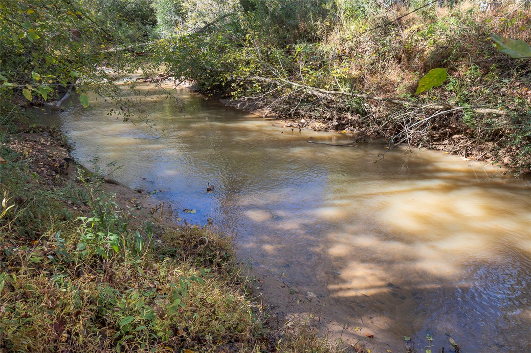 202 Ashton Drive Liberty, SC 29657 - Photo 8 of 41