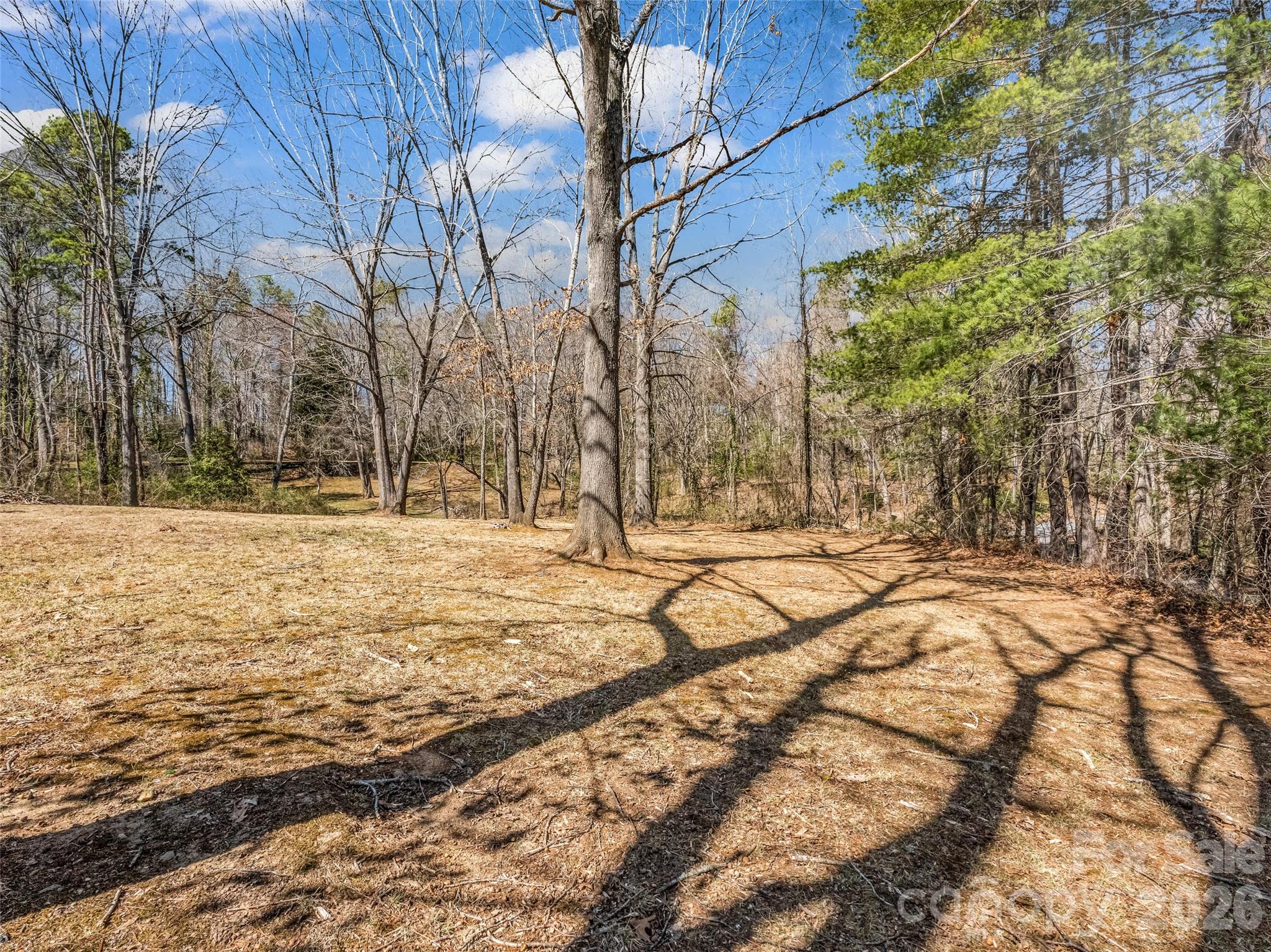 156 Warren Wilson Road Swannanoa, NC 28778 - Photo 3 of 38