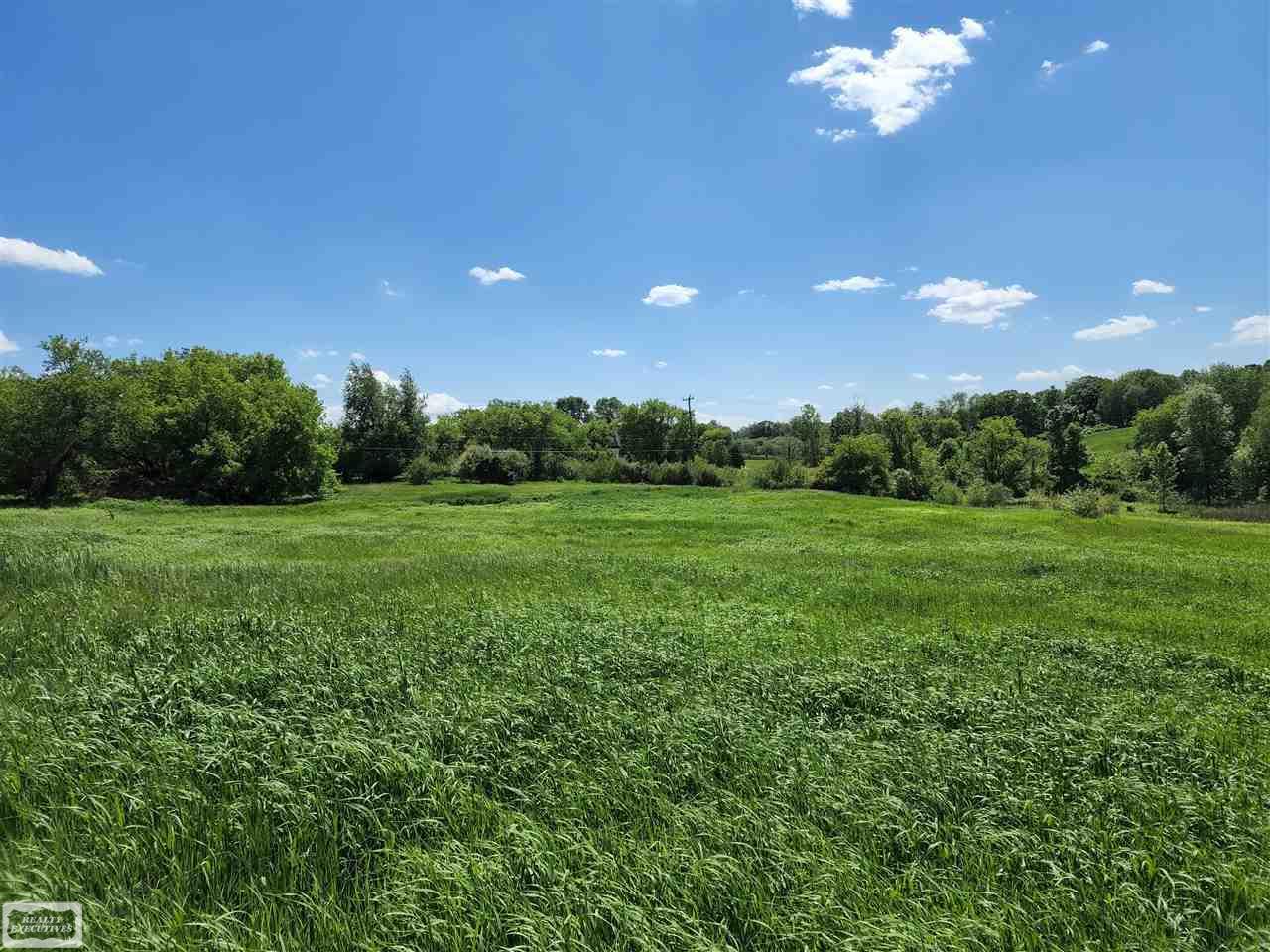 0 Brewer Road Leonard, MI 48367 - Photo 4 of 7
