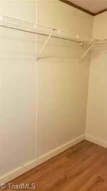 2037 Grissel Tail Road Traphill, NC 28685 - Photo 19 of 19