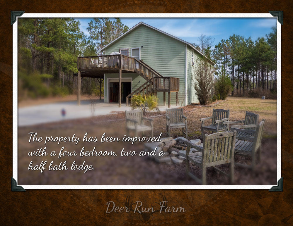 1471 Deliverance Road Ruffin, SC 29475 - Photo 3 of 8 Deer-Run-Farm-unbranded-p3